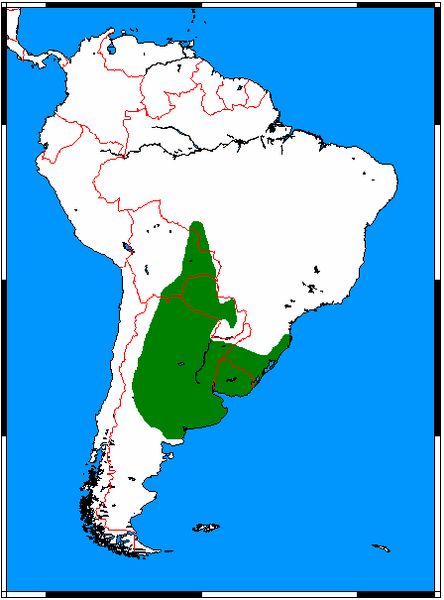 Fájl:Pseudalopex gymnocercus range map.png