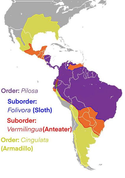 Fájl:Xenarthra range.jpg
