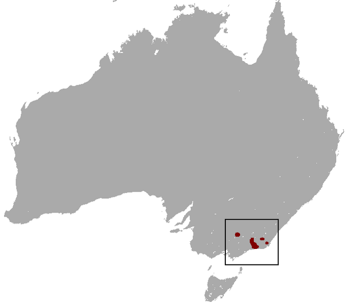 Fájl:Potorous longipes map.png
