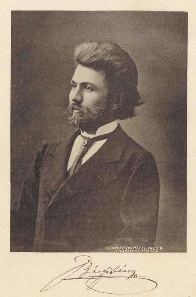 Fájl:Bánfi János, 1880.jpg
