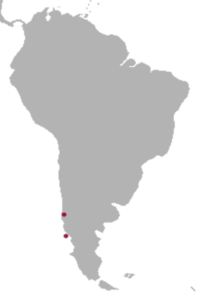 Fájl:Darwin's Fox range.png