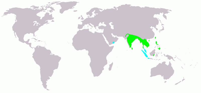 Fájl:Hydrophasianus chirurgus map.png