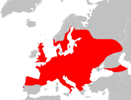 Az európai lábatlangyík-fajok elterjedése. Az új rendszerezés miatt az egyes fajok pontos elterjedési területei még vitatottak.