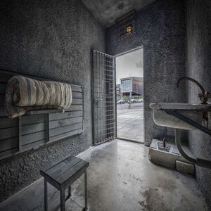 230px