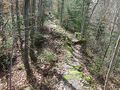 Bélyegkép a 2025. március 8., 02:26-kori változatról