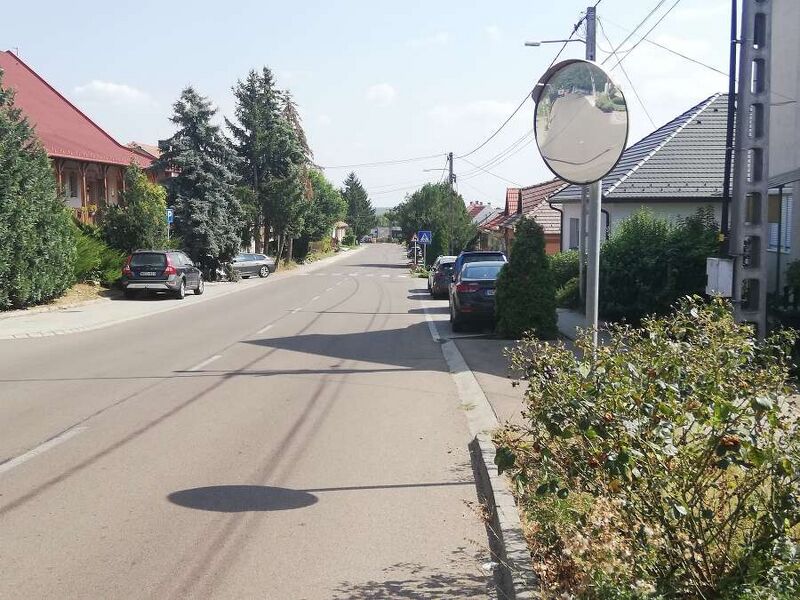 Fájl:20240907 130053 2419 Pálosvörösmart.jpg