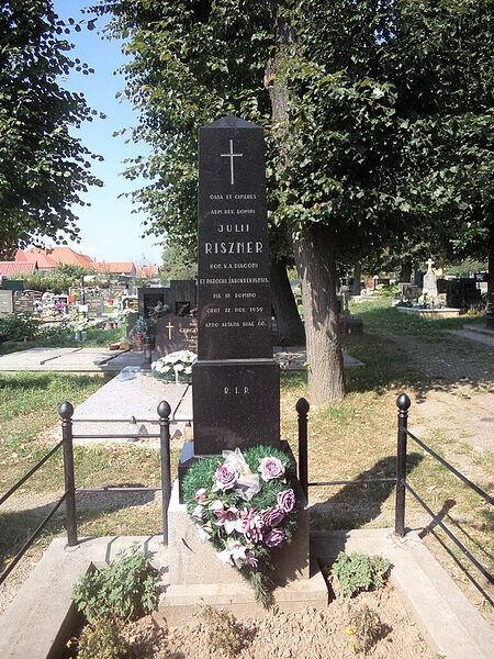 Fájl:Nyitrazsámbokrét temető 1 Riszner.jpg