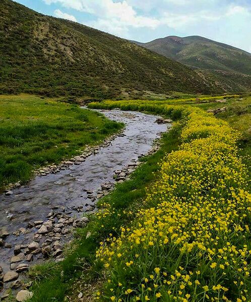 Fájl:طبعیت روستای ننادگان.jpg