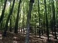 Bélyegkép a 2025. március 8., 02:49-kori változatról